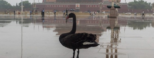 财经数据库：中国经济的7只黑天鹅
