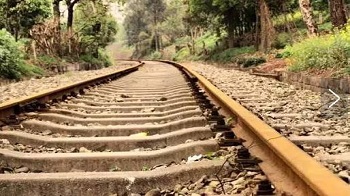 一个对规则没有敬畏的社会，不足以谈自由