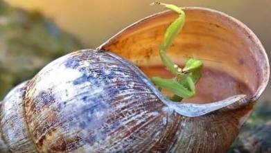 中国正在上演第三次财富大洗牌