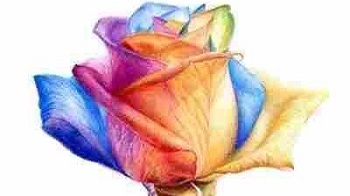 真正的交往，至简至真