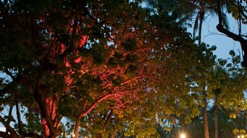 林语堂这10句话，足以温暖凉薄的世界