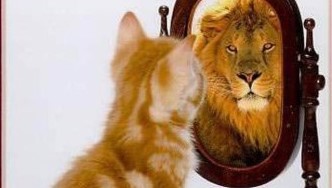 林奇｜你以为你是谁