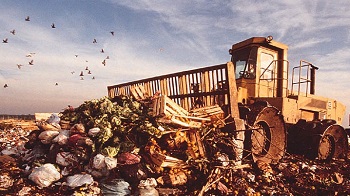 最新中国国情报告