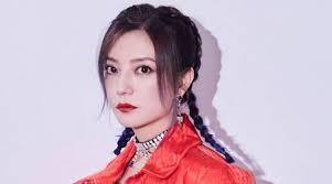 趙薇持股公司又遭強制執行