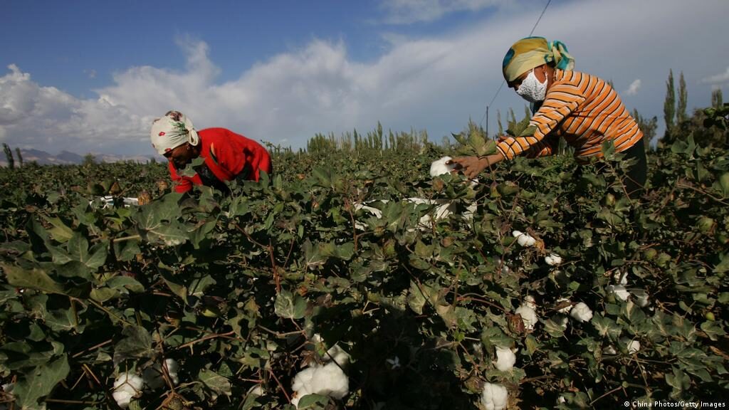 联合国专家报告指控新疆实施奴役 构成「违反人道罪」