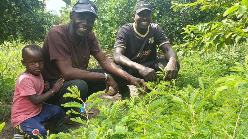 非洲男子立下宏图大志 五年种植500万棵树