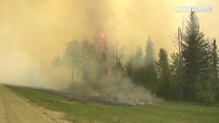加拿大野火空汙跨國境 美國十多州空氣品質拉警報