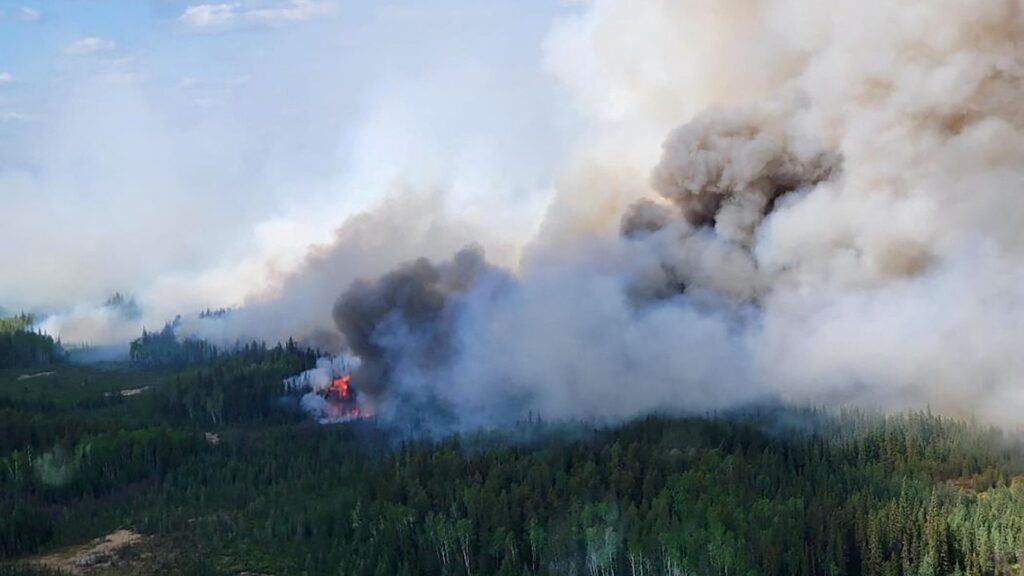 加拿大山火造成的烟雾和粉尘污染室内空气：如何应对