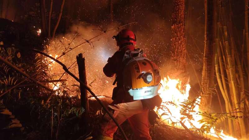韩国派出150多名消防员帮助加拿大灭火
