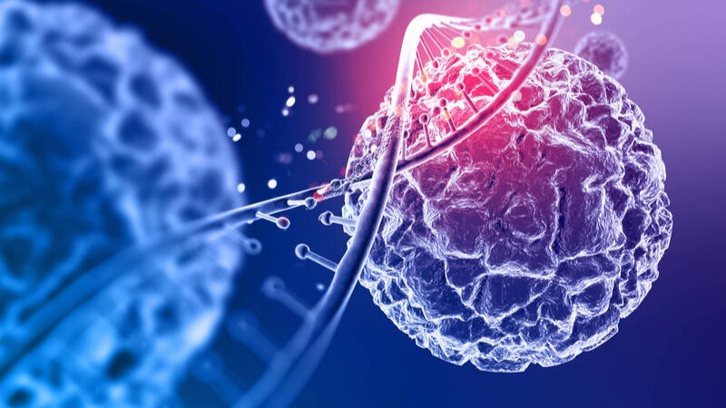 科學家發現癌症新開關 永久關掉致癌基因