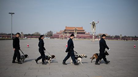 卓恋：在中国，我的沉默震耳欲聋